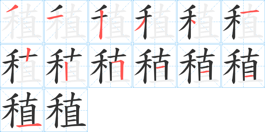 稙字的筆順?lè)植窖菔?></p>
<script src=