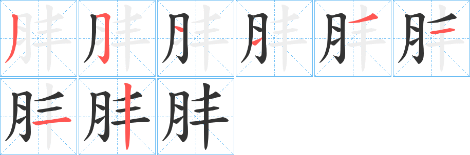 肨字的筆順?lè)植窖菔?></p>
<script src=