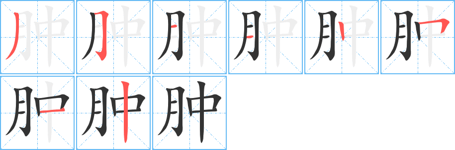 腫字的筆順?lè)植窖菔?></p>
<script src=
