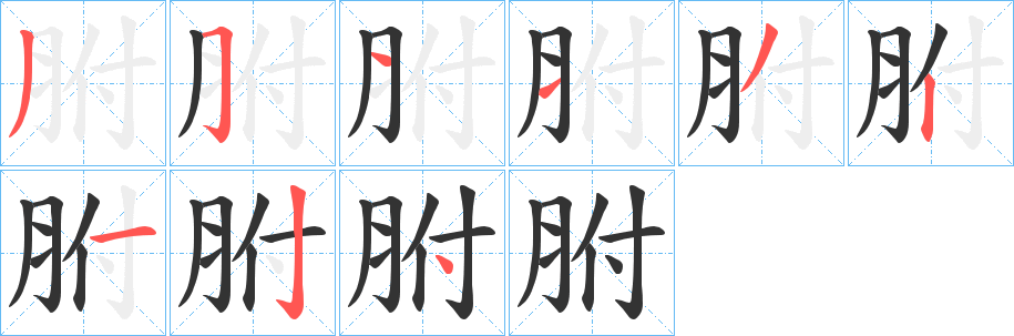 胕字的筆順?lè)植窖菔?></p>
<script src=