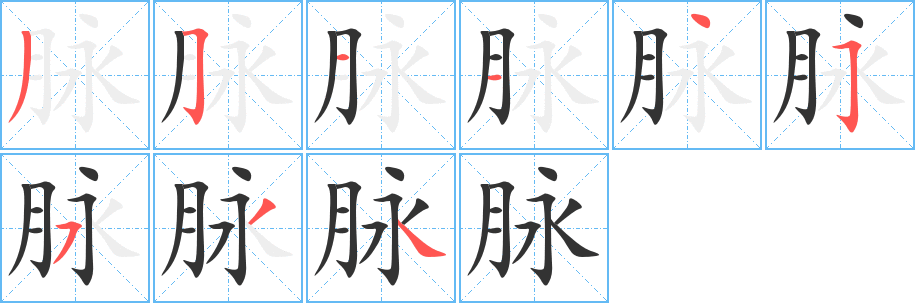 脈字的筆順?lè)植窖菔?></p>
<script src=