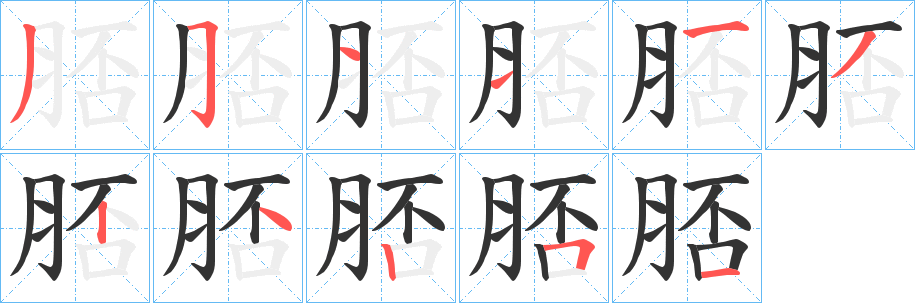 脴字的筆順?lè)植窖菔?></p>
<script src=