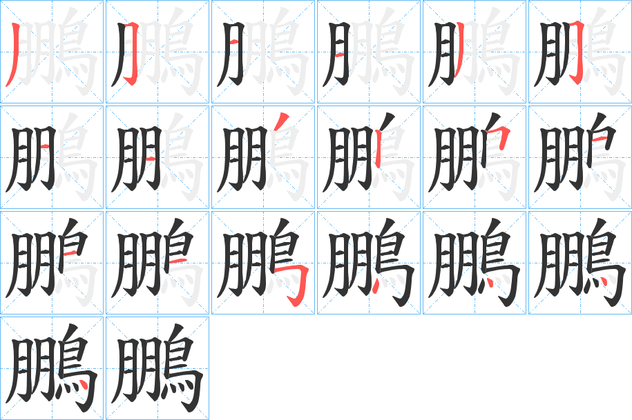 鵬字的筆順?lè)植窖菔?></p>
<script src=